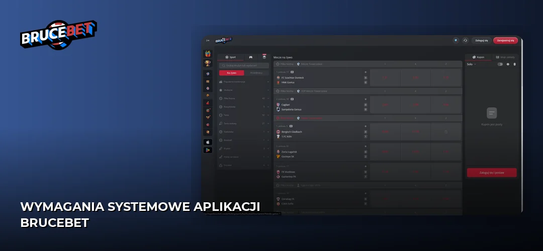 Wymagania systemowe aplikacji BruceBet