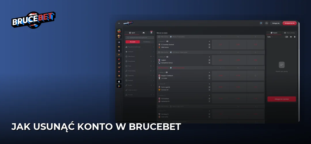 BruceBet promotional banner